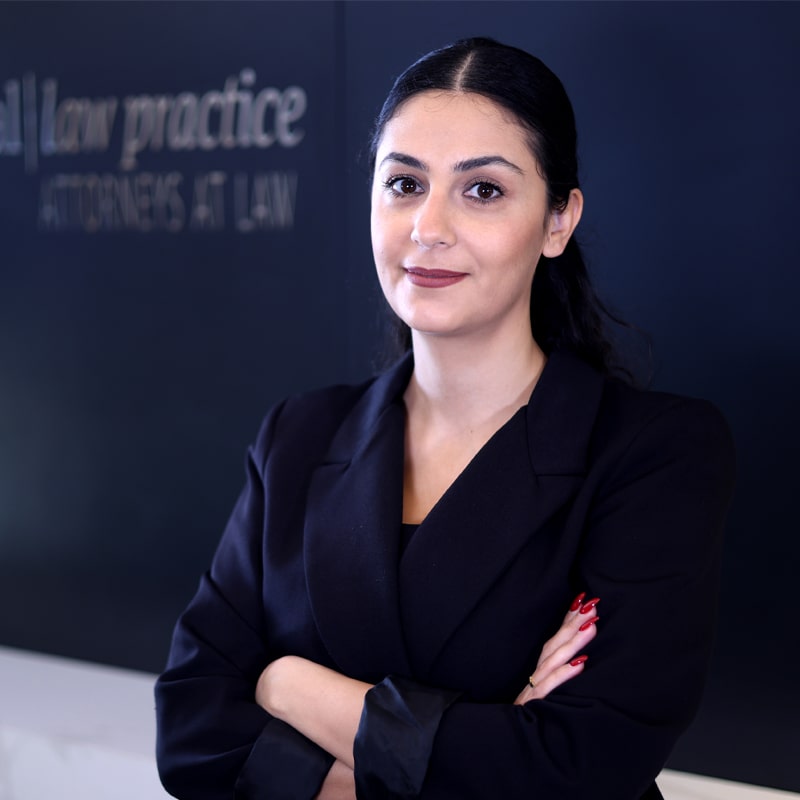 Capital Law Practice - Elham Mouhaydli - Headshot